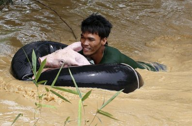 Image 442692790