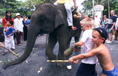 Image 442709798