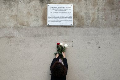 Image 442834518
