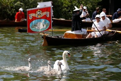 Image 442903051