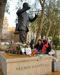 Image 442935650
