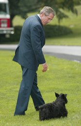 Image 442952226