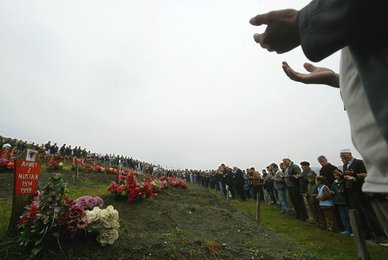 Image 442985814