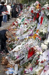 Image 442993678