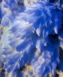 Image 443013401