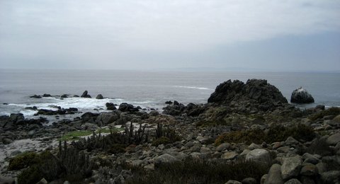 Image 443161127
