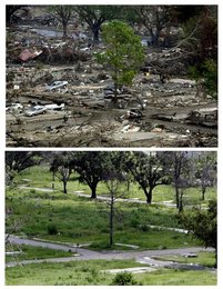 Image 443248792