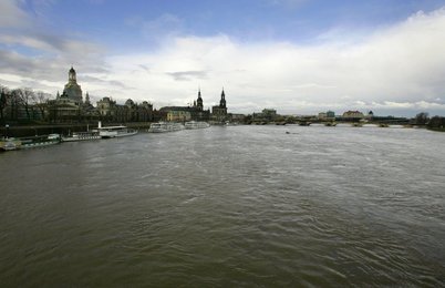 Image 443251941