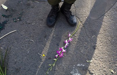 Image 443262882
