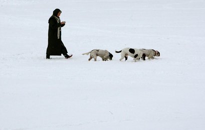 Image 443301737