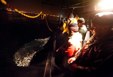 Image 443311241