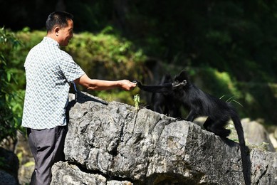 Image 443372697
