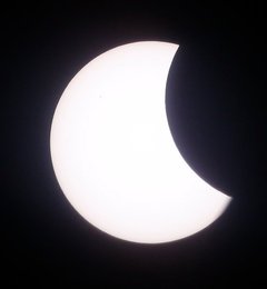 Image 443430034