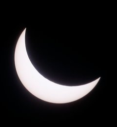 Image 443430107