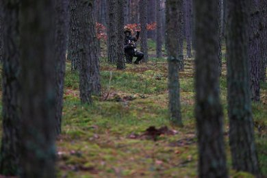 Image 443430152