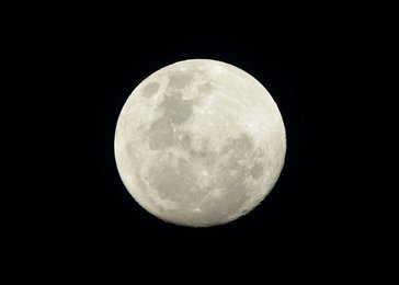 Image 443455758