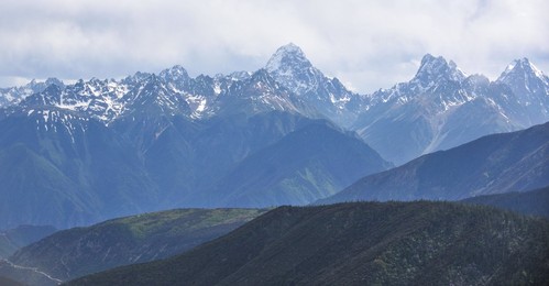 Image 443473961