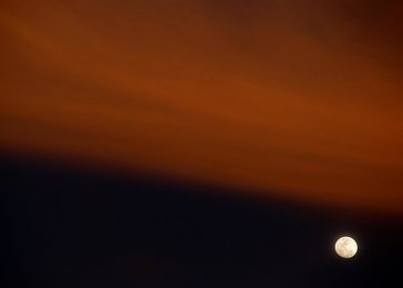Image 443525967