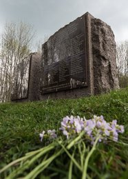 Image 443530152