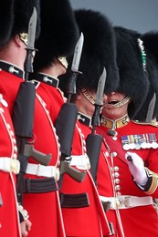 Image 443601229