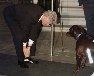 Image 443623773