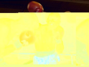 Image 443625638