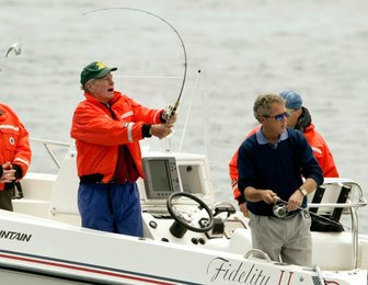 Image 443646339