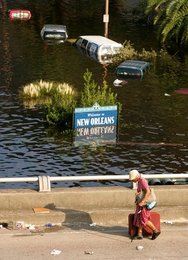 Image 443665546