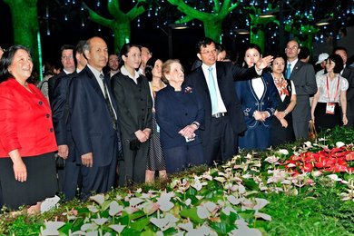 Image 443722430