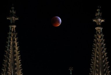Image 444029534