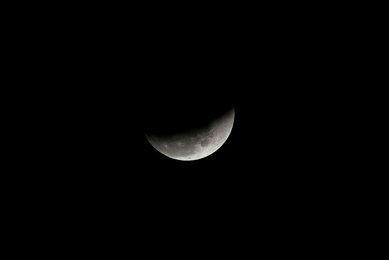 Image 444051307