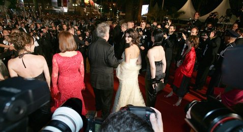 Image 444093351
