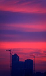 Image 444293269