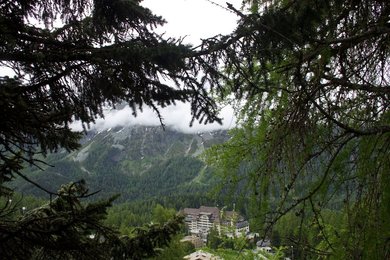 Image 444301223