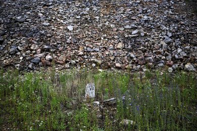 Image 444375713