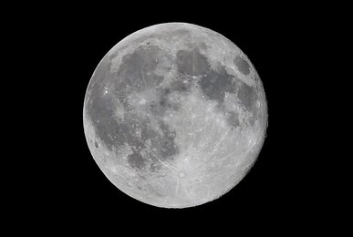 Image 444378385