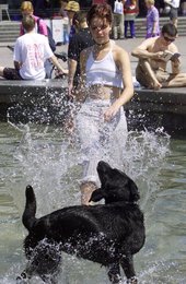 Image 444537345