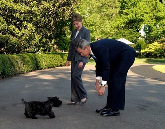 Image 444573912