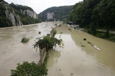 Image 444575394