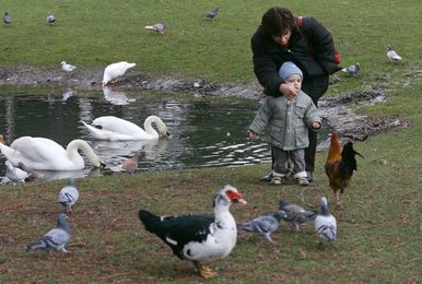 Image 444577181