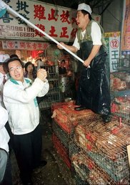 Image 444591079
