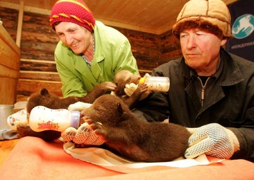 Image 444638057