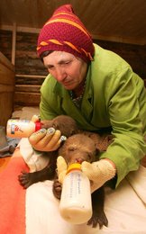 Image 444638079