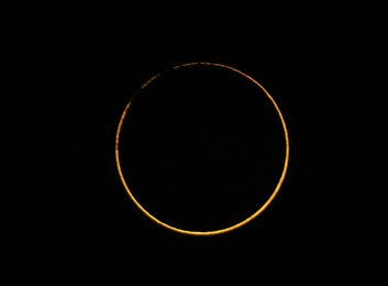 Image 444641586