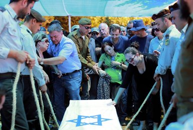 Image 444698991