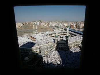 Image 444861960