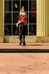 Image 444891888