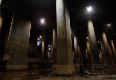 Image 445009277