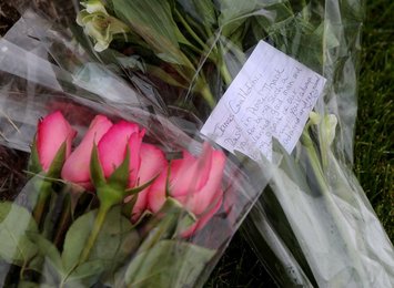 Image 445042857