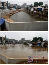 Image 445061335
